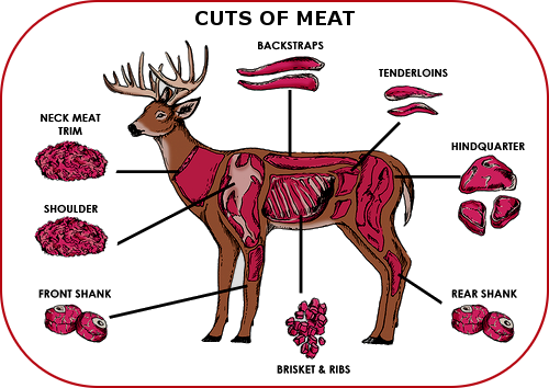 Cuts of Deer Meat on Hunter Tracker